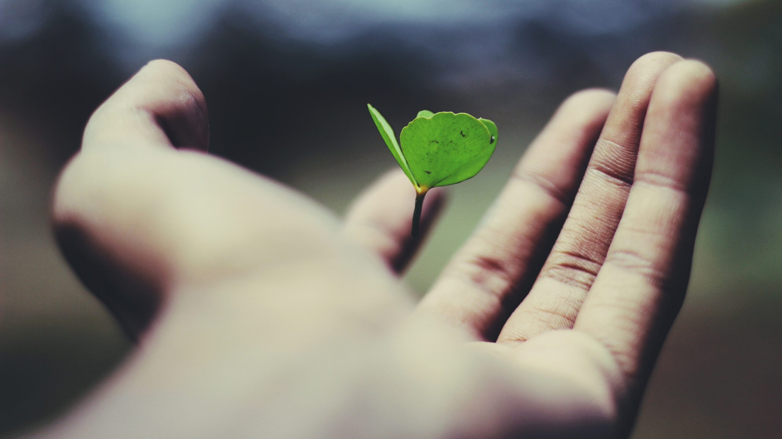 small business growth small business growth
